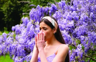 Remedios naturales y médicos para sobrevivir a las alergias de abril