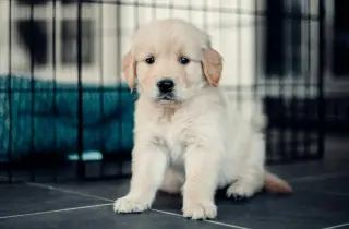 Calendario de eventos de noviembre