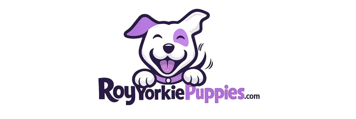 Roy Yorkies cover