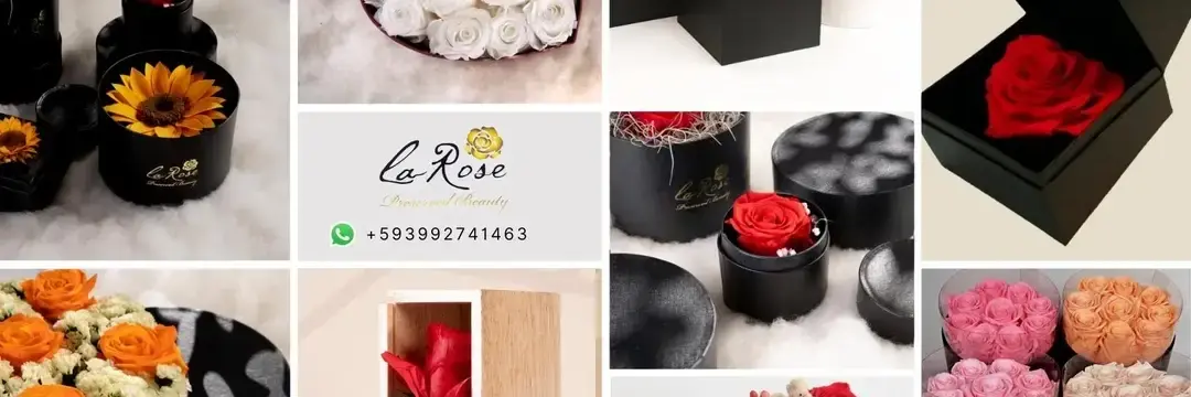 La Rose Preserved Beauty cover
