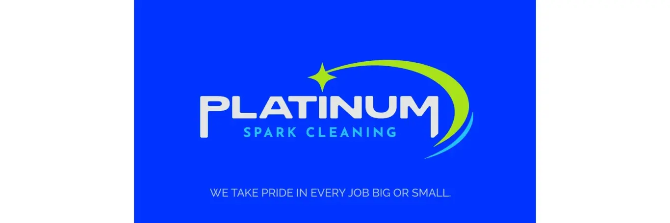 Platinum Spark Cleaning cover