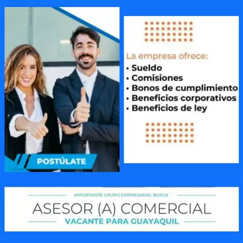 Asesor comercial y marketing cover