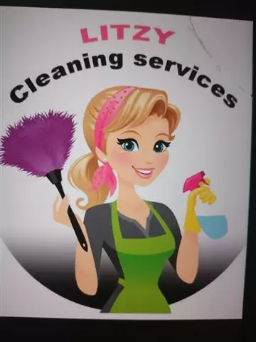 http://litzycleaningservices.c cover