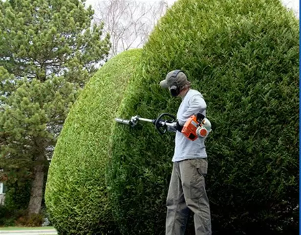 Julio General Landscaping Serv cover
