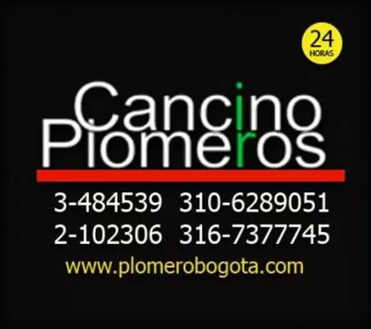 PLOMEROS BOGOTA CANCINO 24H cover
