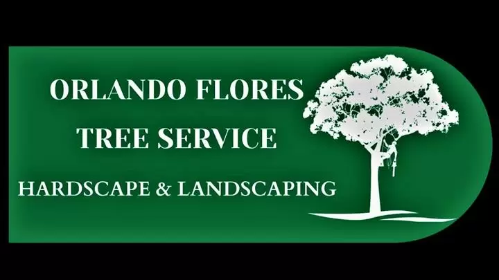 Orlando Flores Tree Services cover