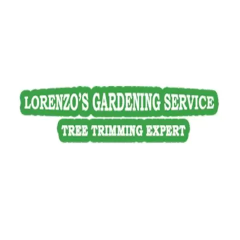 Lorenzo Landscaping Services cover