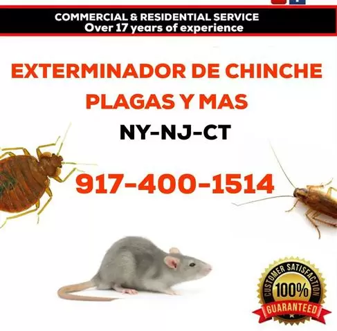 EXTERMINADOR DE CHINCHAS cover