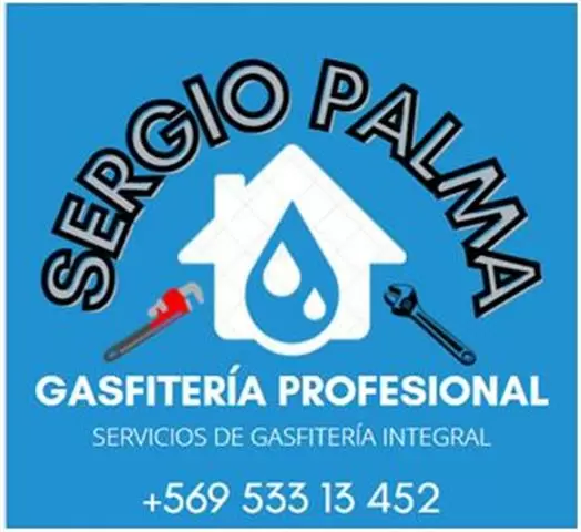 GASFITERÍA GÁSFITER PROFESIONA cover