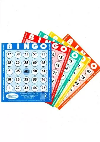 BINGOS ALTO IMPACTO cover