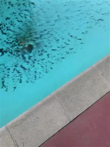 Tenorio pool service cover