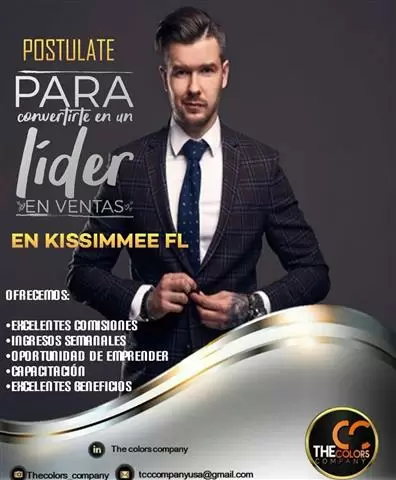 The Colors Company cover