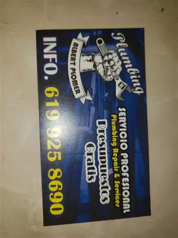 Albert plumbing cover