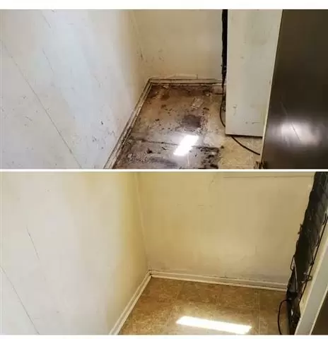 Juanita cleaning services cover