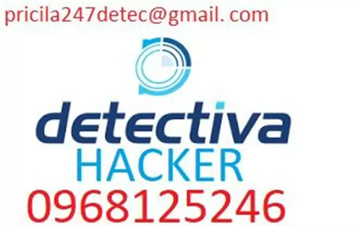 DETECTIVES PRIVADO cover