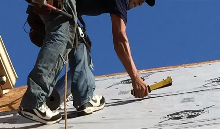 ROCHE REMODELING MÁSTERS cover