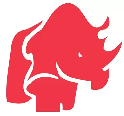 RHINO CRANE S.A.S cover
