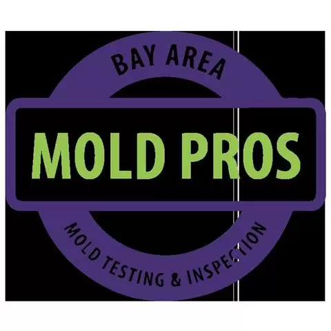 Bay Area Mold Pros cover