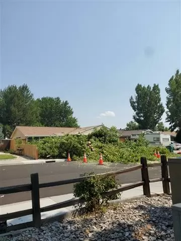 Medrano Tree Service cover