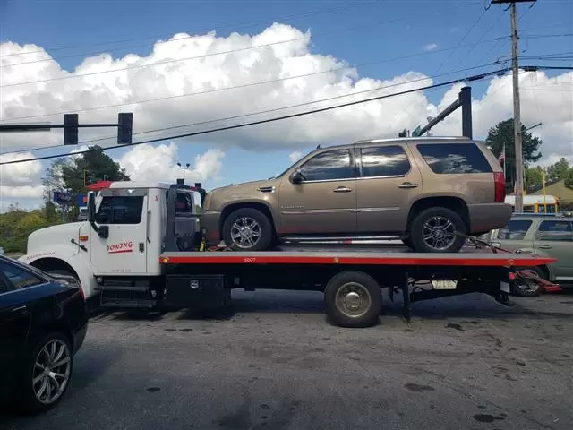 Mijangos Towing cover