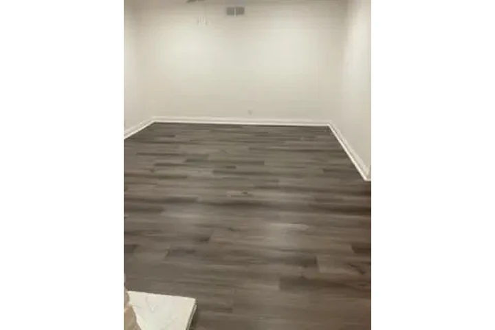 Ramona’s Carpet cover