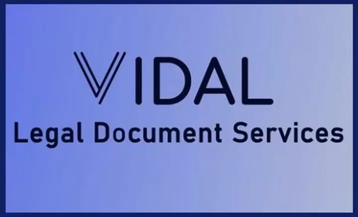 VVIDAL Legal Document Services cover