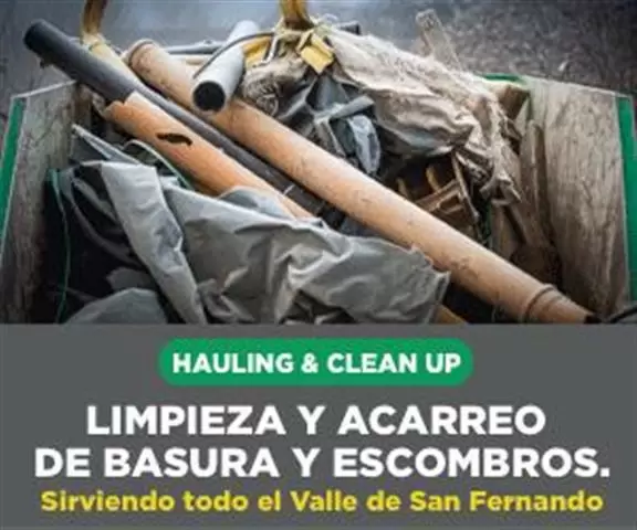 HAULING & CLEAN UP cover