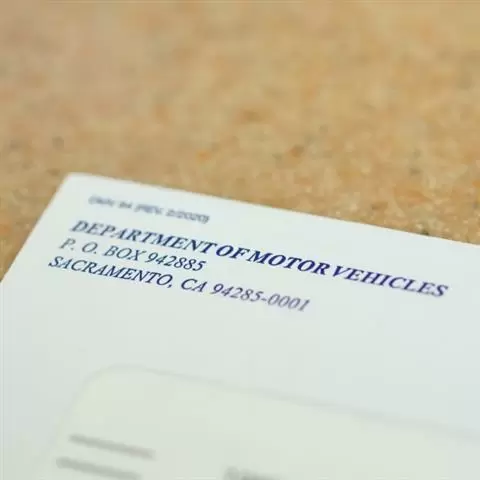 Quintanilla’s Insurance Broker cover