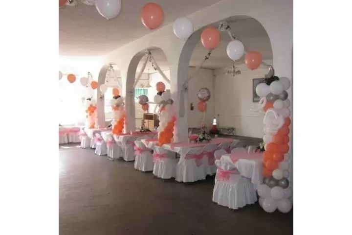 CaniBalloons cover
