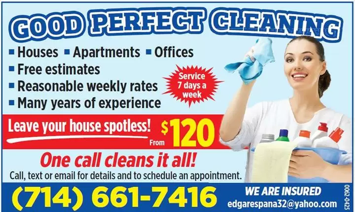 Good Perfect Cleaning cover