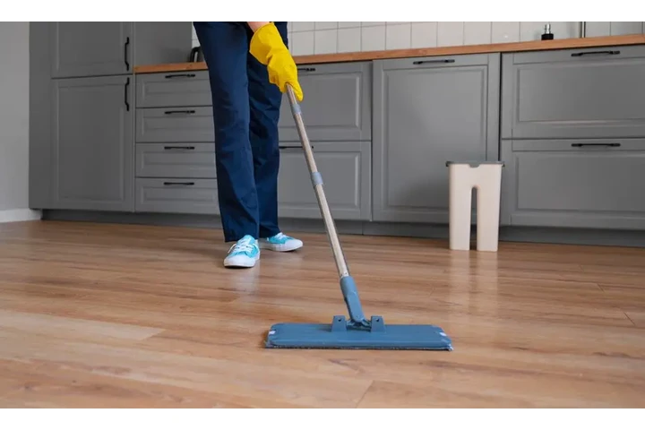 Sofia G Cleaning cover
