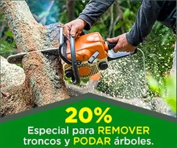 Mendoza Tree Service cover