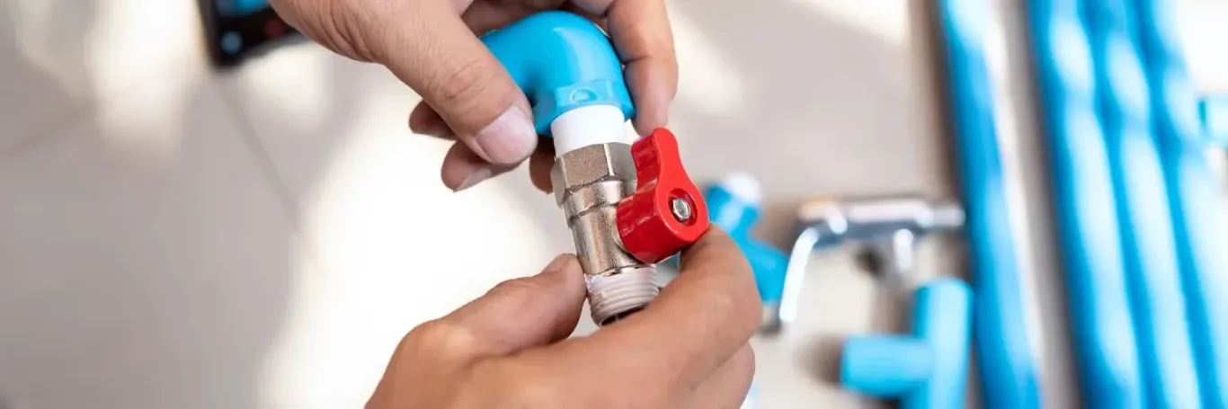 Dominguez Plumbing cover