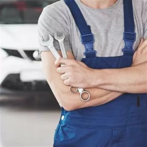 Master Automotive cover