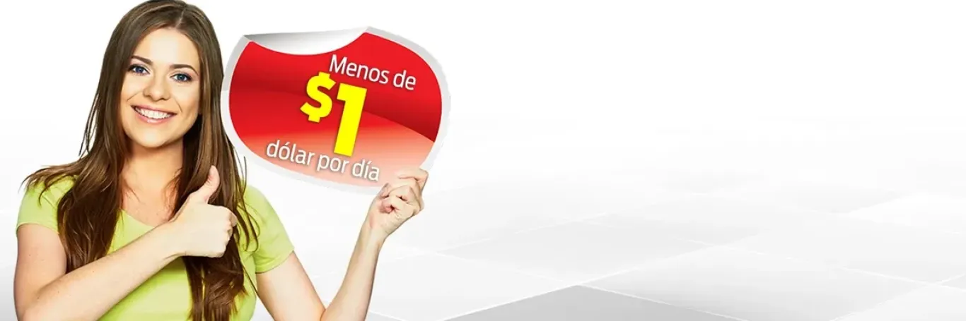 FIESTA AUTO INSURANCE cover