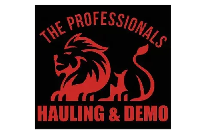 Professional Demolition cover
