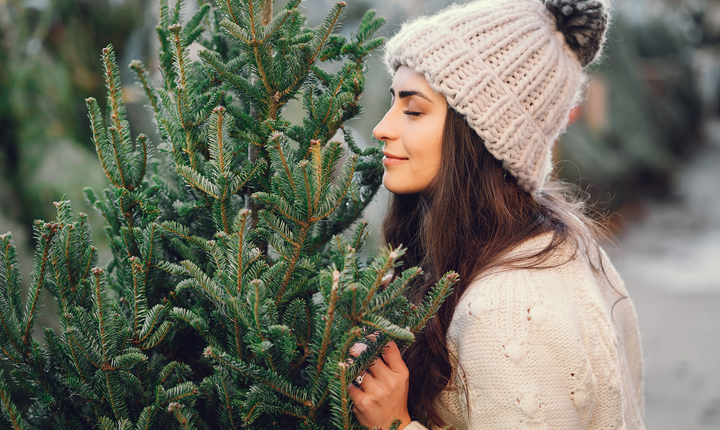 Cómo elegir y cuidar un arbolito de Navidad natural