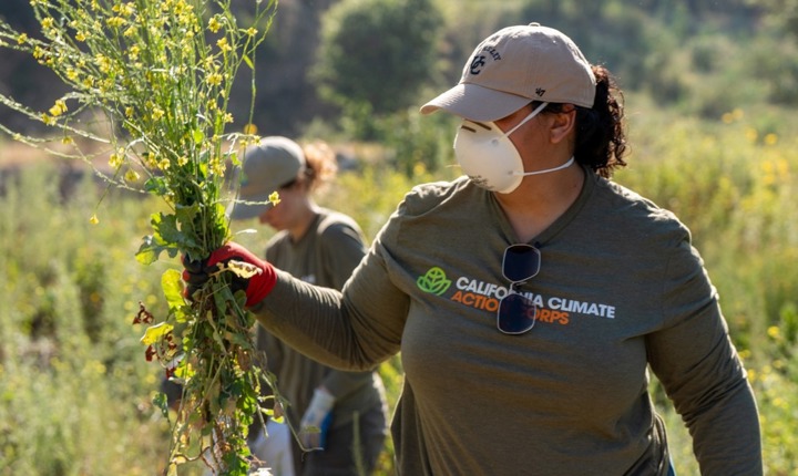 California Service Corps está reclutando a 10,000 nuevos miembros