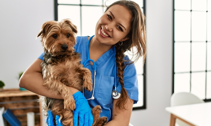 Veterinarios que hablan español en Los Ángeles
