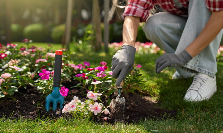 5 tips para preparar su jardín esta primavera