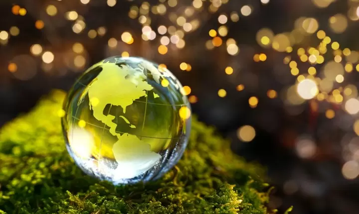 Cómo ayudar al medio ambiente esta Navidad