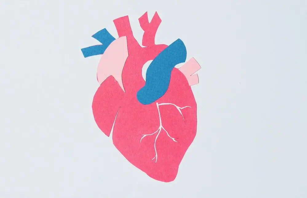 El camino hacia una buena salud cardiovascular
