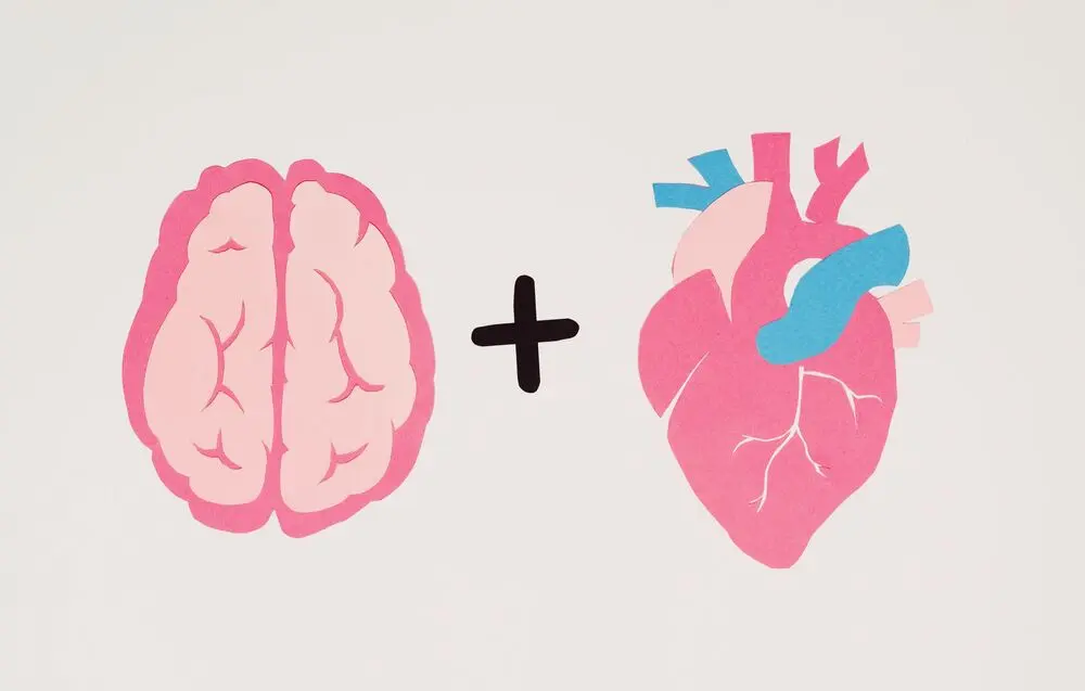 Camino a la recuperación después de un derrame cerebral