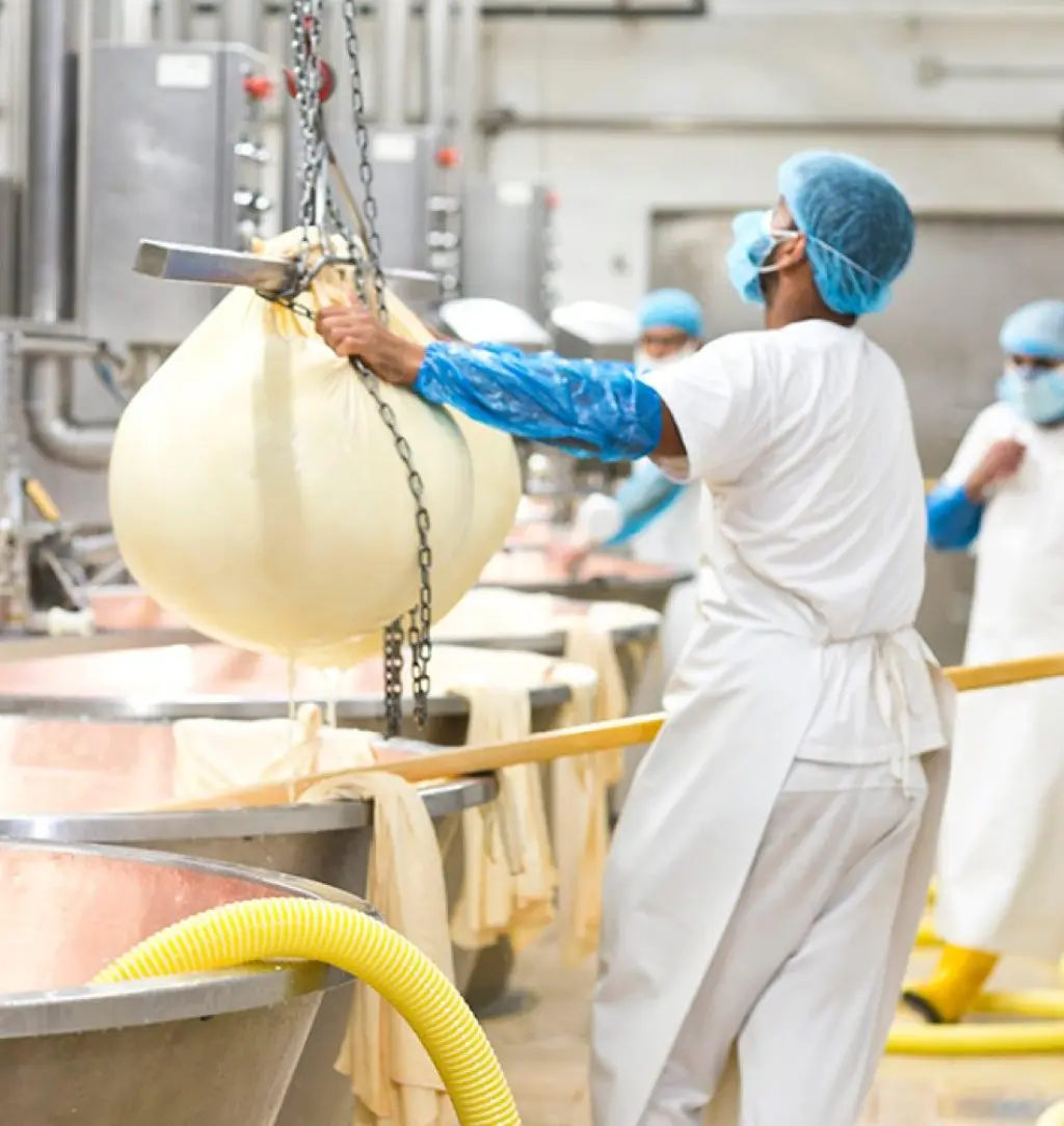 Trabajo General (Fabrica de Comida)- Pomona