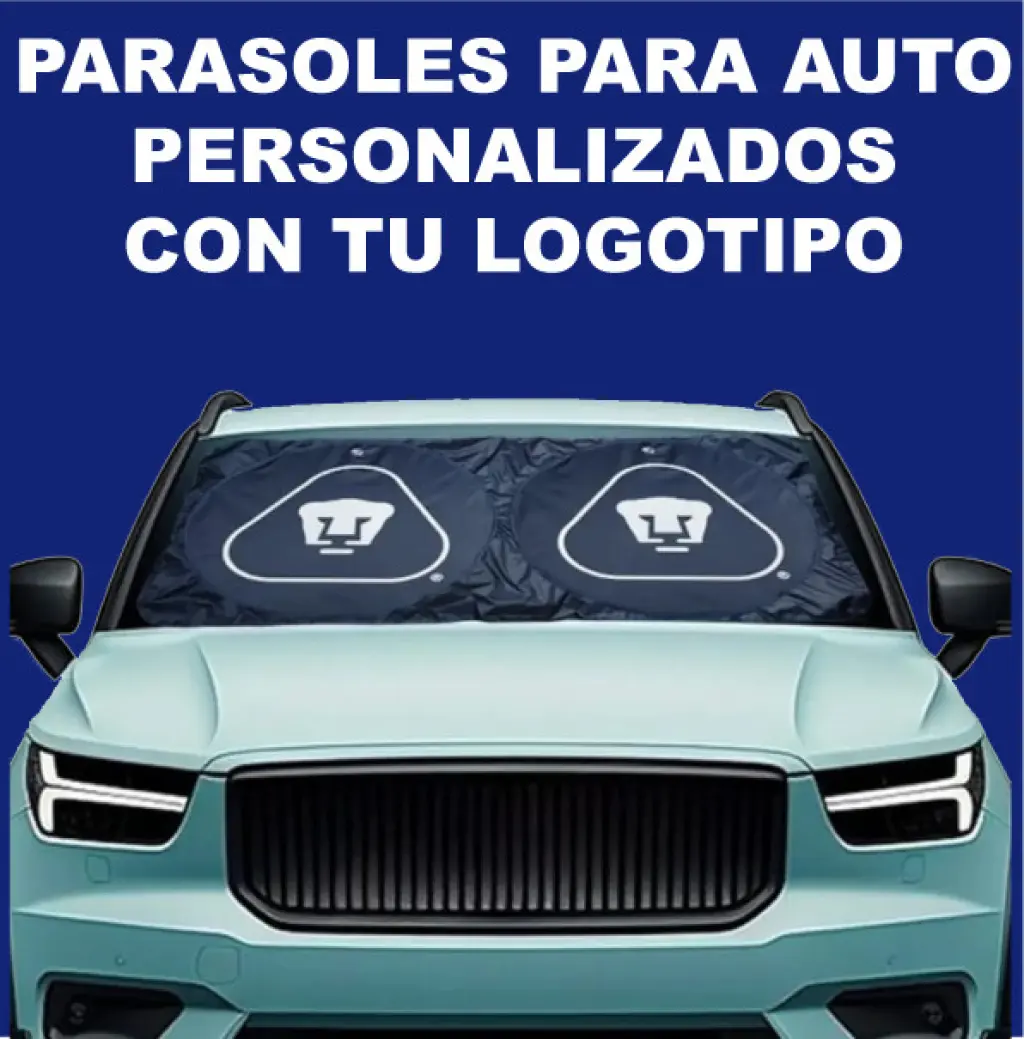 CORTINAS PARA AUTO