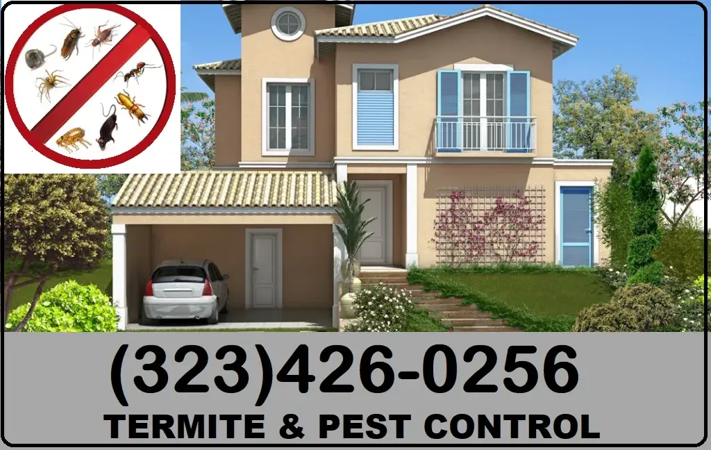 FUMIGACIONES COMEJEN POLILLA TERMITAS