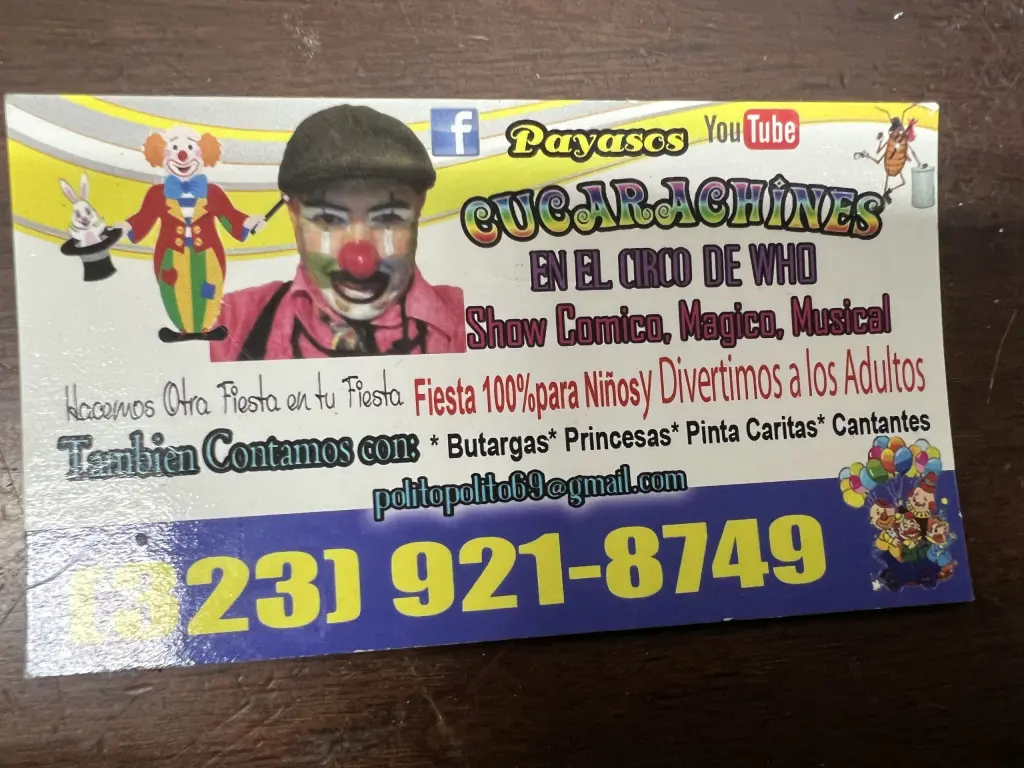 Servicios Profesionales de Payasos para Fiestas