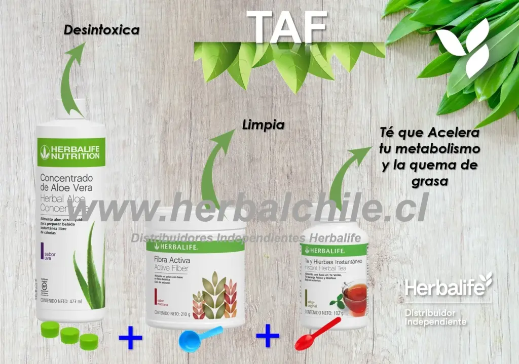 ¡ARRANCA HOY CON HERBALIFE!  Si llevas tiempo pensando en mejorar tu