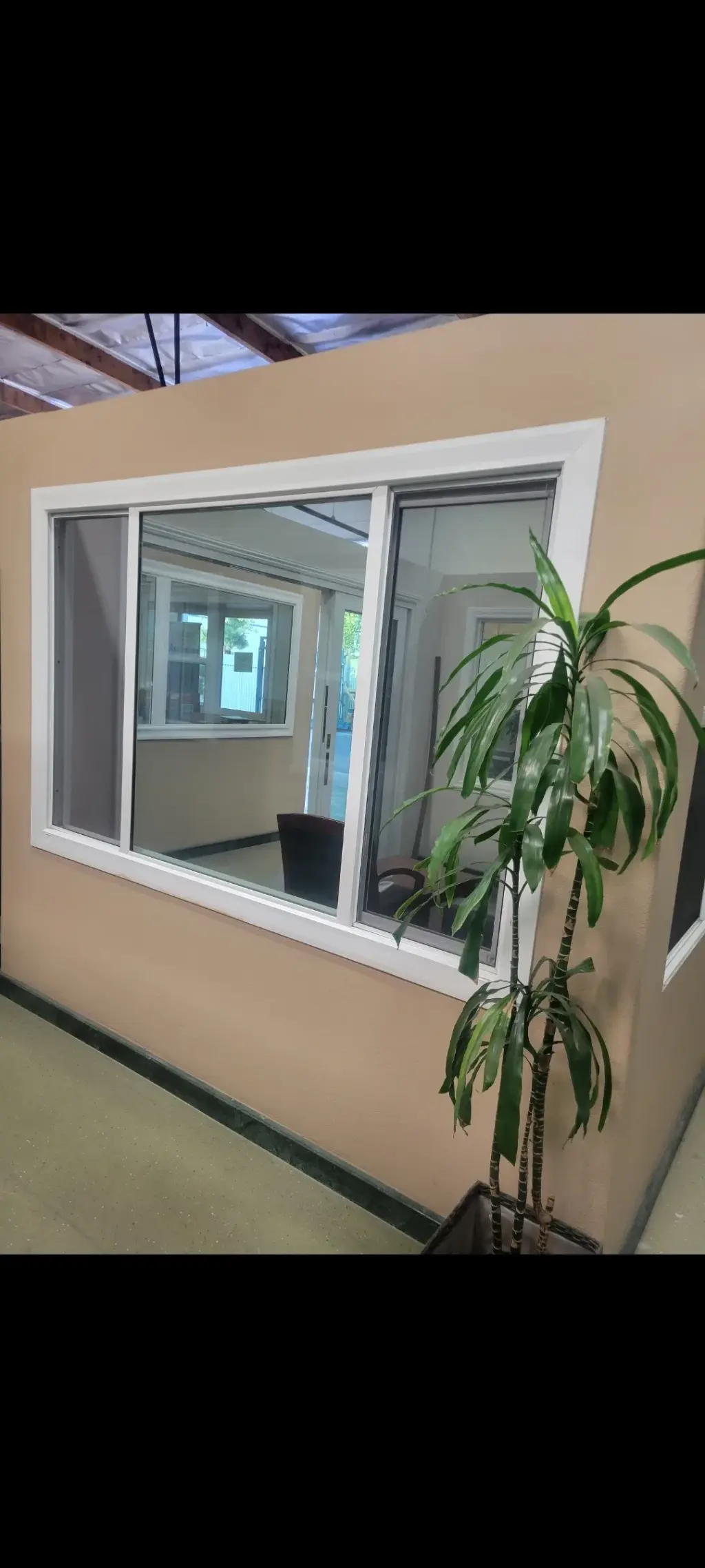 Glass windows & doors