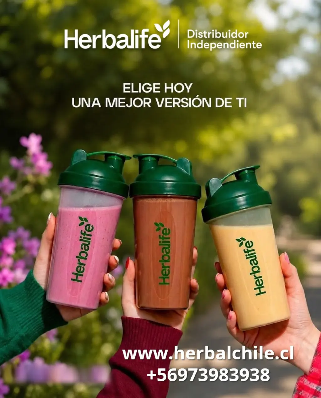 Batidos de Nutrición Herbalife - Distribuidor Independiente